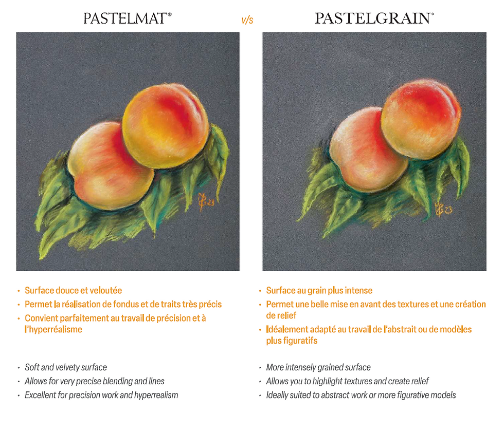 Thumbnail: Clairefontaine PastelGrain 粉彩專用紙