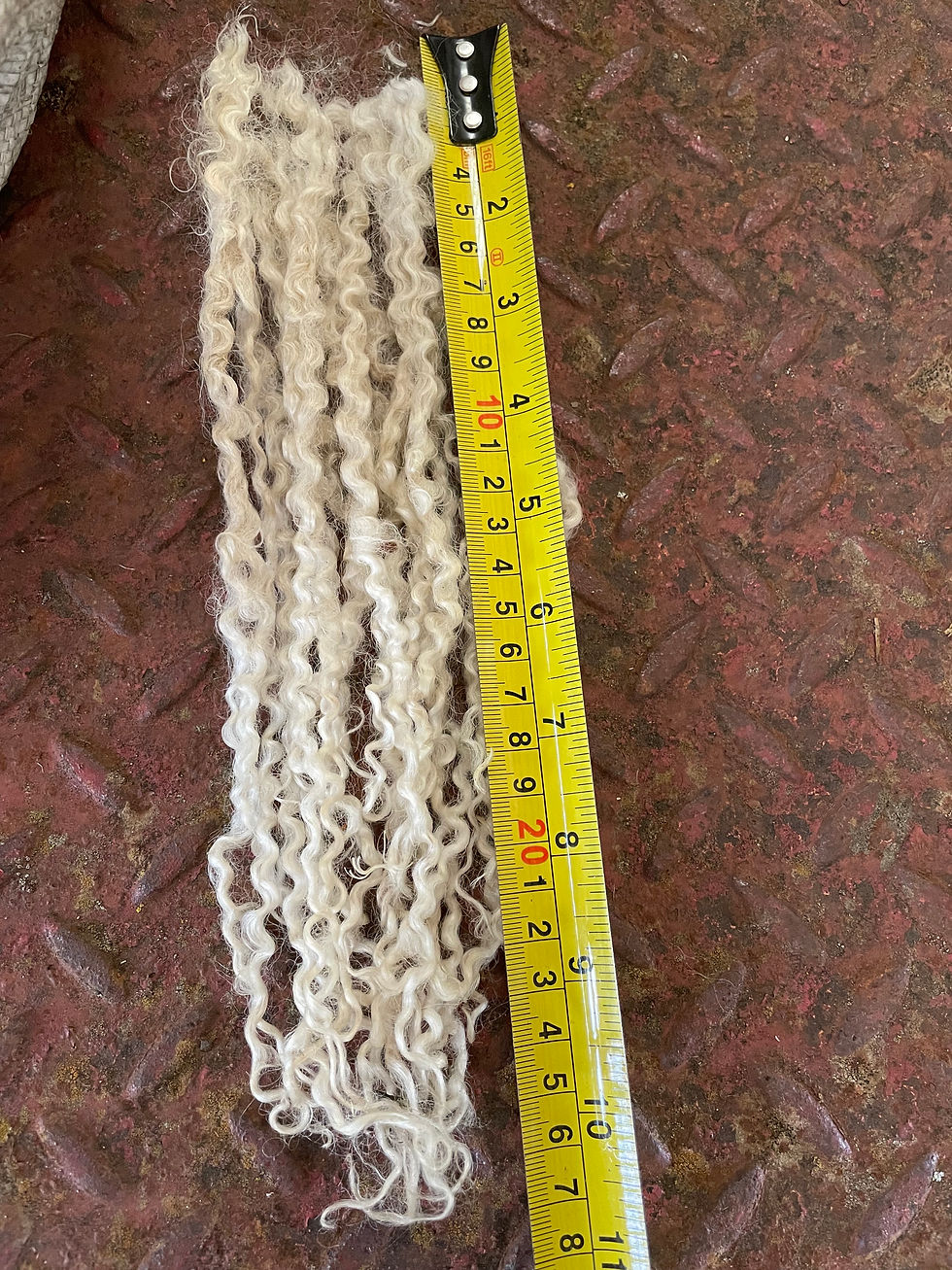 Thumbnail: White Wensleydale Curls
