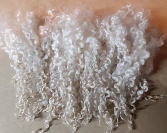 Lambswool Curls (White & Black)