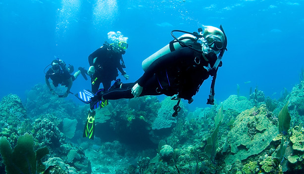 Scuba Diver