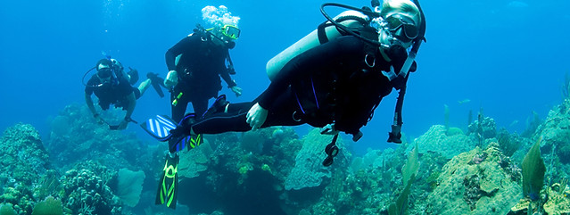 Scuba Diver
