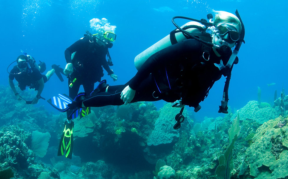 Scuba Diver