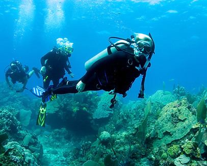Scuba Diver