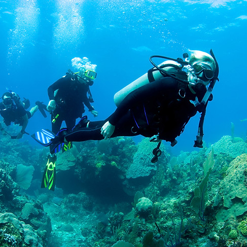 Scuba Diver