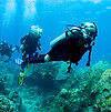 Scuba Diver