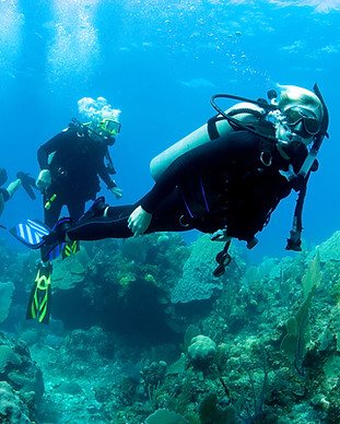 Scuba Diver