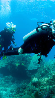 Scuba Diver