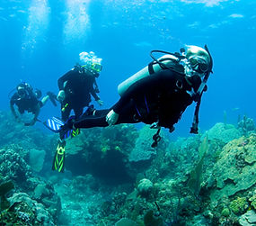 Scuba Diver