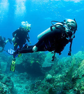 Scuba Diver