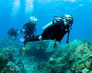 Scuba Diver