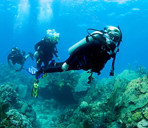 Scuba Diver