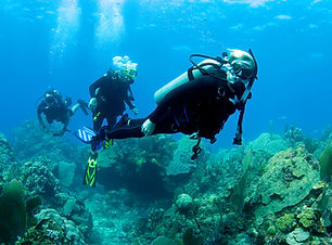 Scuba Diver