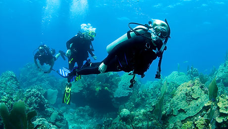 Scuba Diver