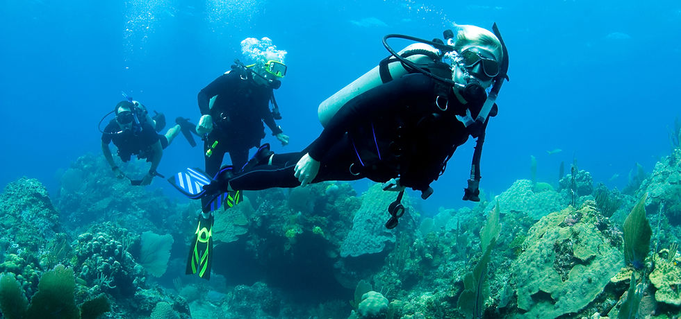 Scuba Diver