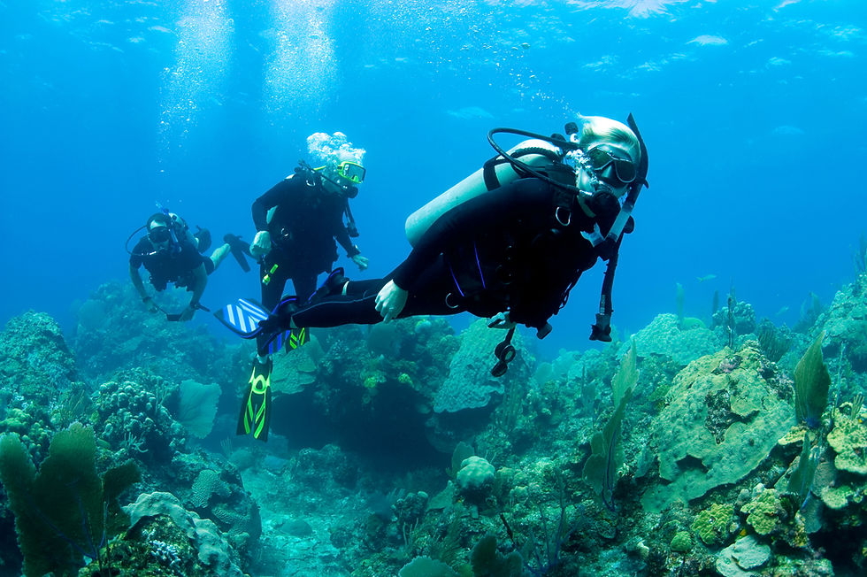 Scuba Divers Underwater