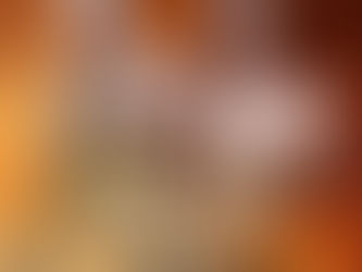 Zilla to take on former wwe star matt riddle