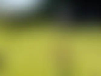 CONNECTFORE Golf & Business