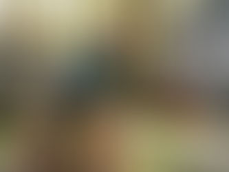 Homeowner cleaning up yard waste in Massachusetts backyard