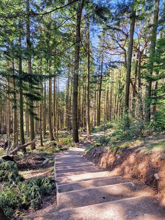 Guided Wild Camping West Highland Way