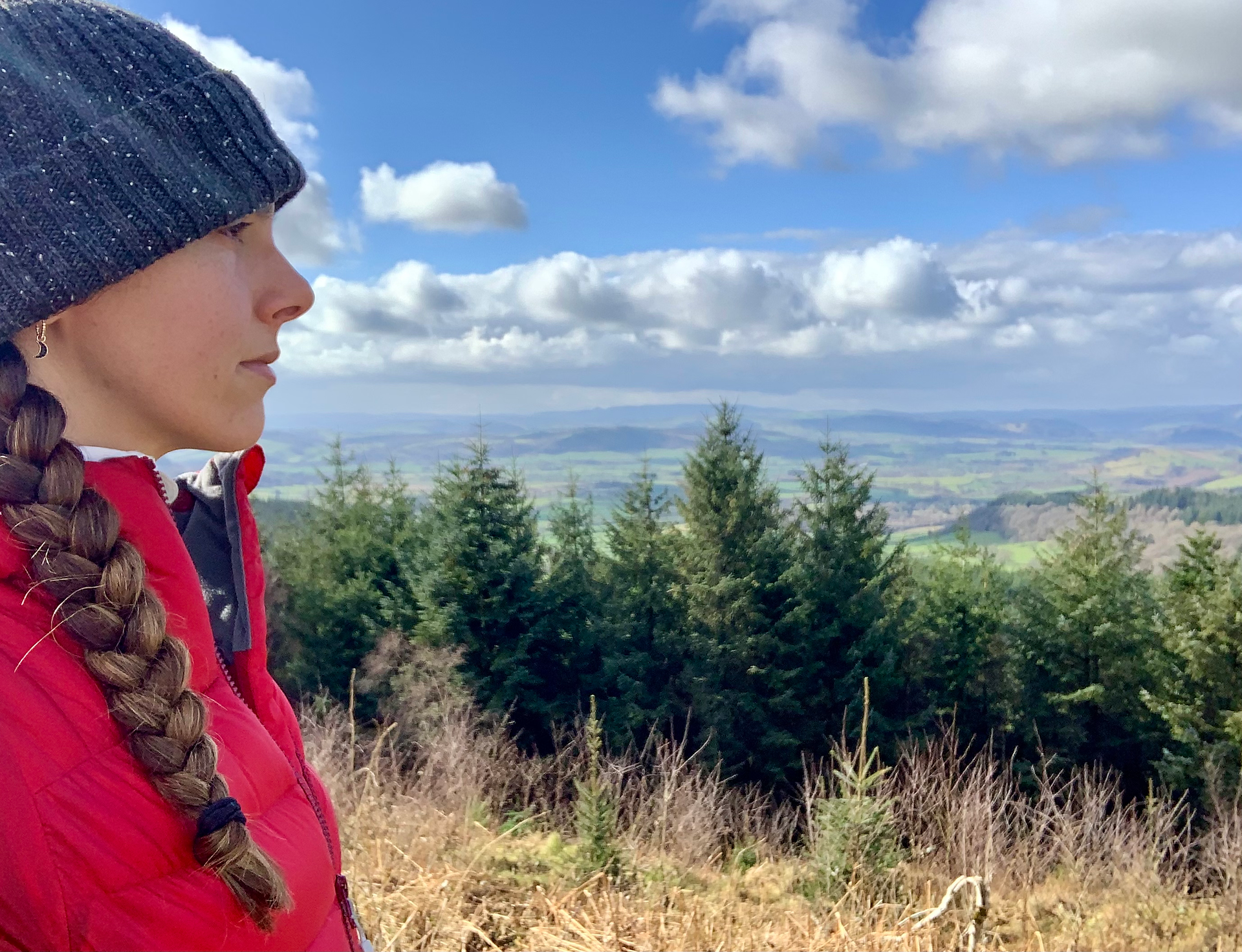 Mortimer Forest, Ludlow