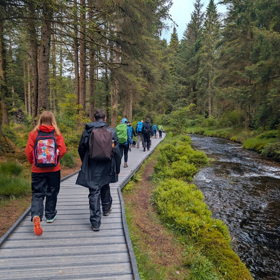 Hafren Forest Hideaway Weekender