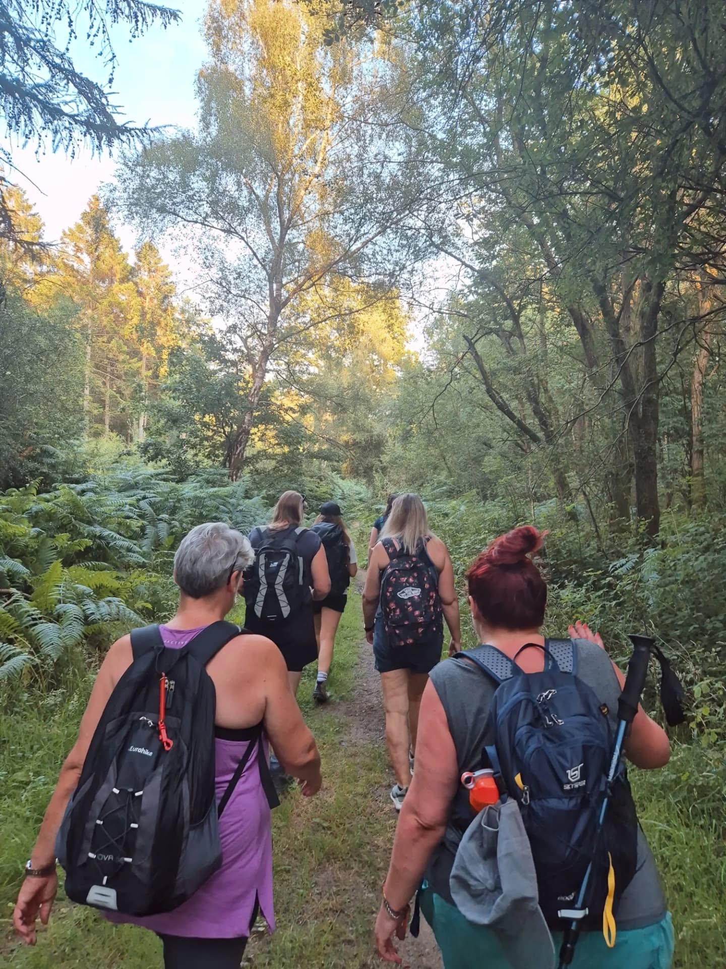 Shropshire Best Walks