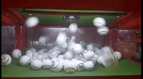 1.gif