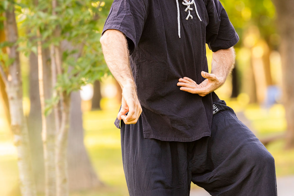 TaiChi Débutant | Tarif normal (1 cours)