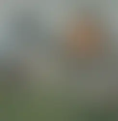 Elden Ring: Comprehensive Beginner's Guide for New Players