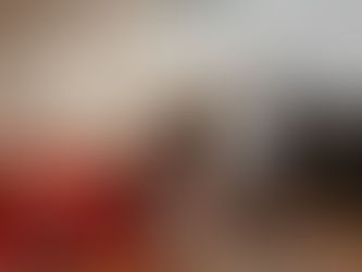 Hamilton Volleyball Defeats Allendale