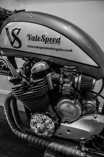 DSC_0133.bw