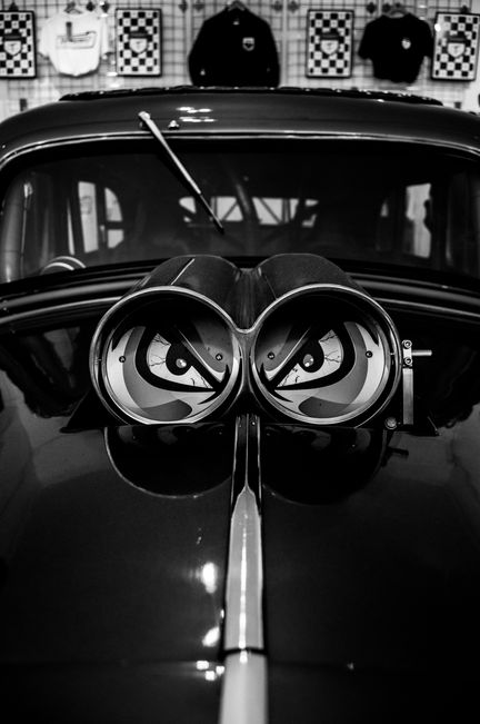 DSC_0136.bw