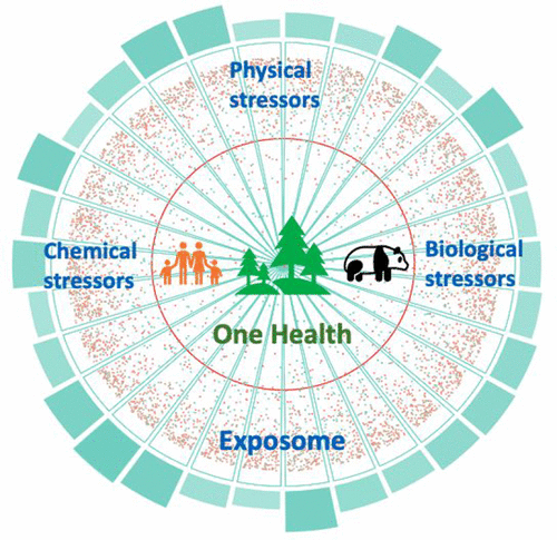 One Health.gif
