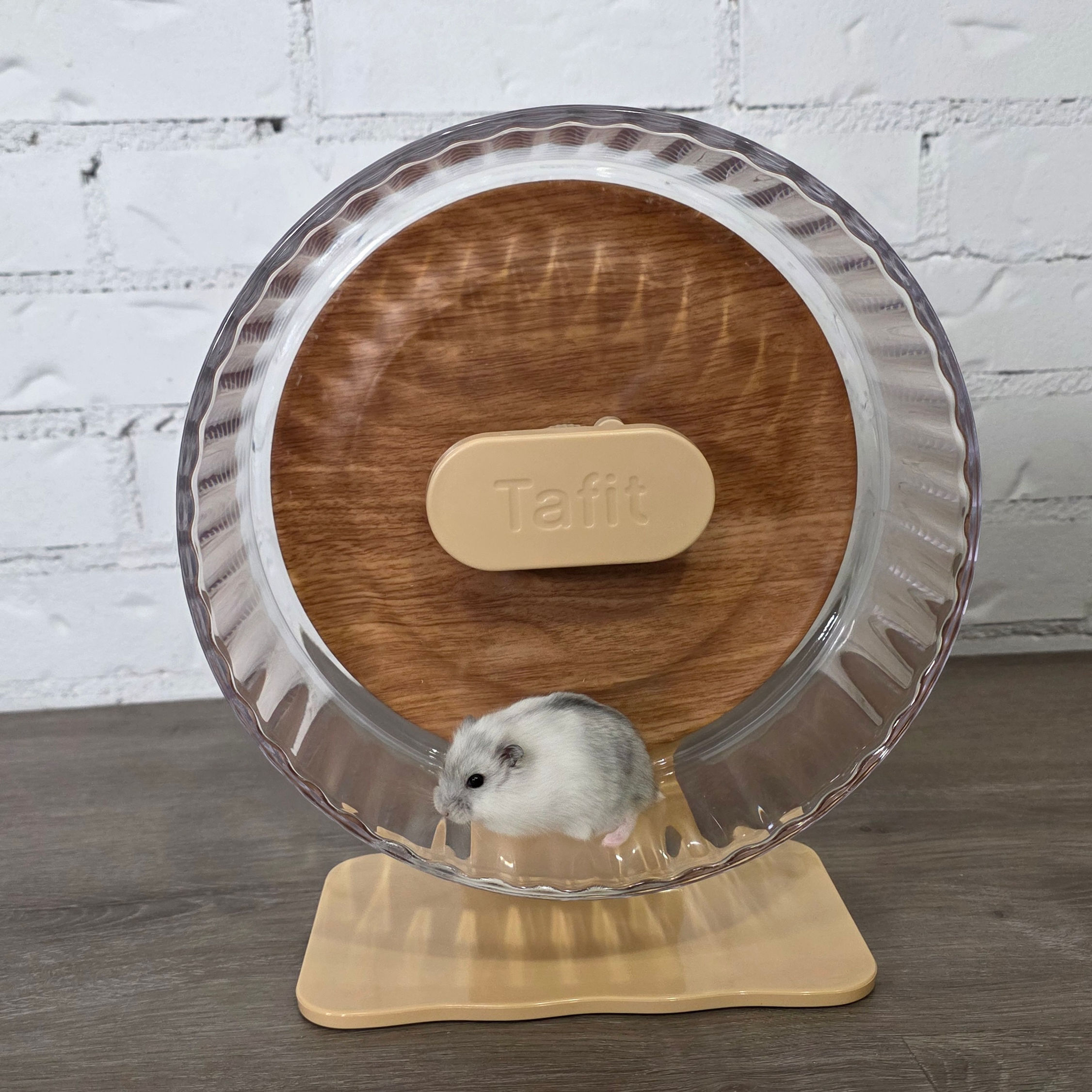 Roue silencieuse 8 pouces