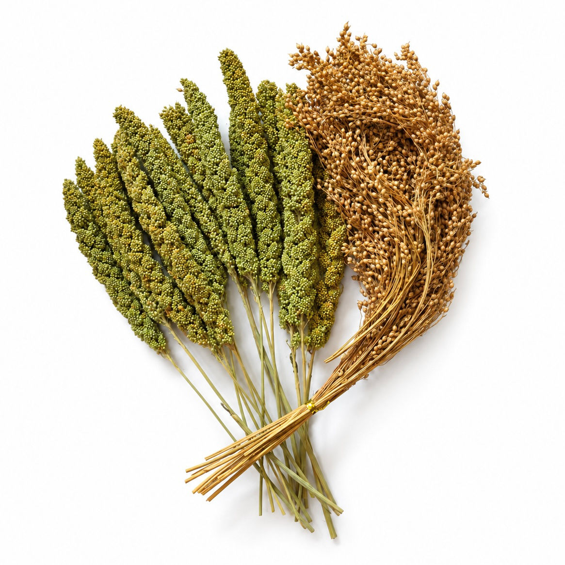 Millet duo