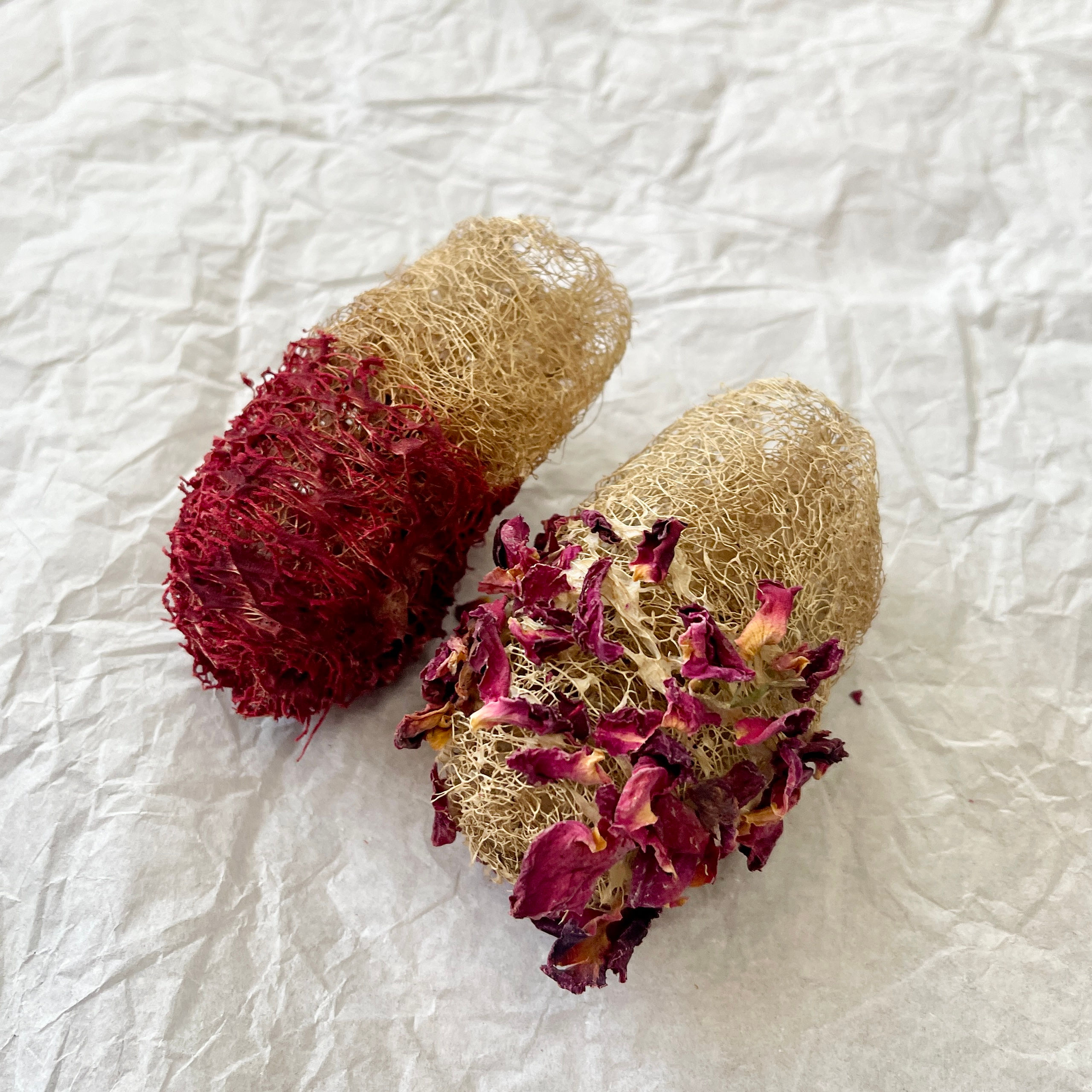 Lofa betterave et roses