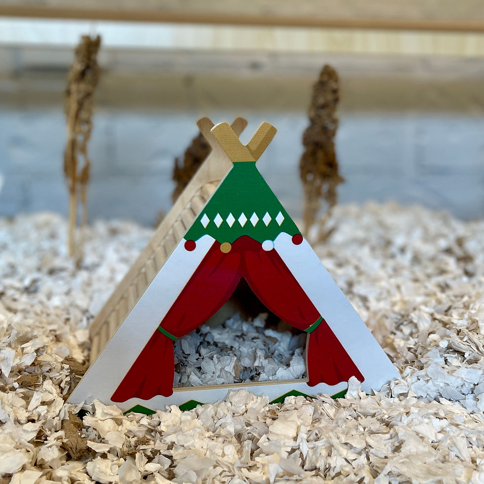 Thumbnail: Festive Teepee Hideout
