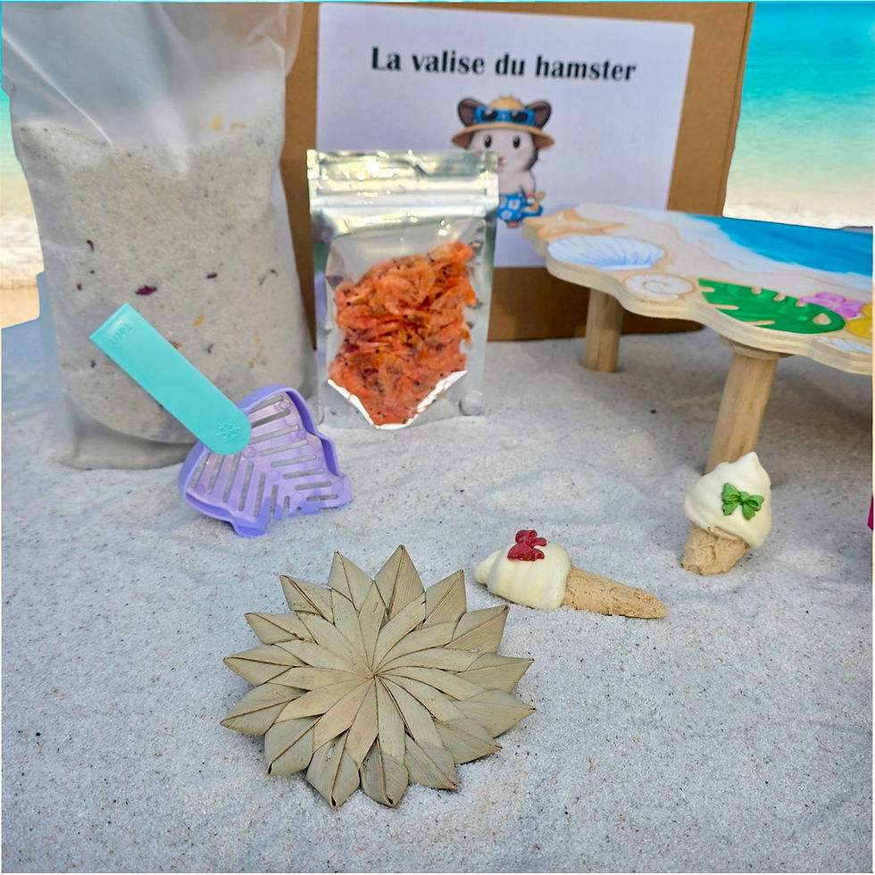 Thumbnail: The hamster's suitcase