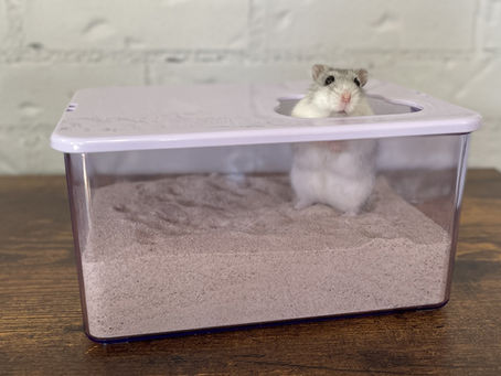 Le nettoyage de l'habitat