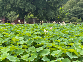 The Myth of Mother Nature