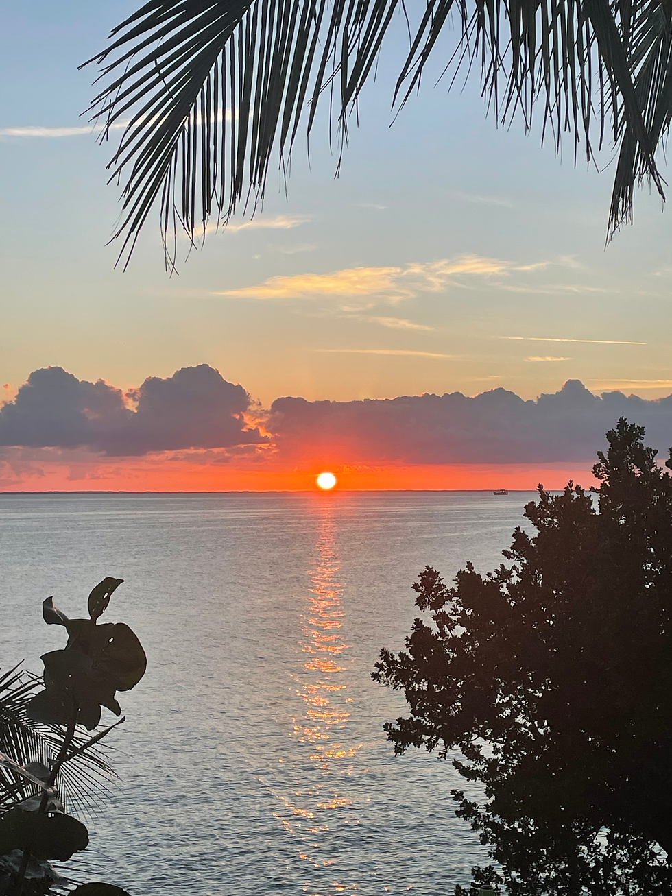 tropical sunset