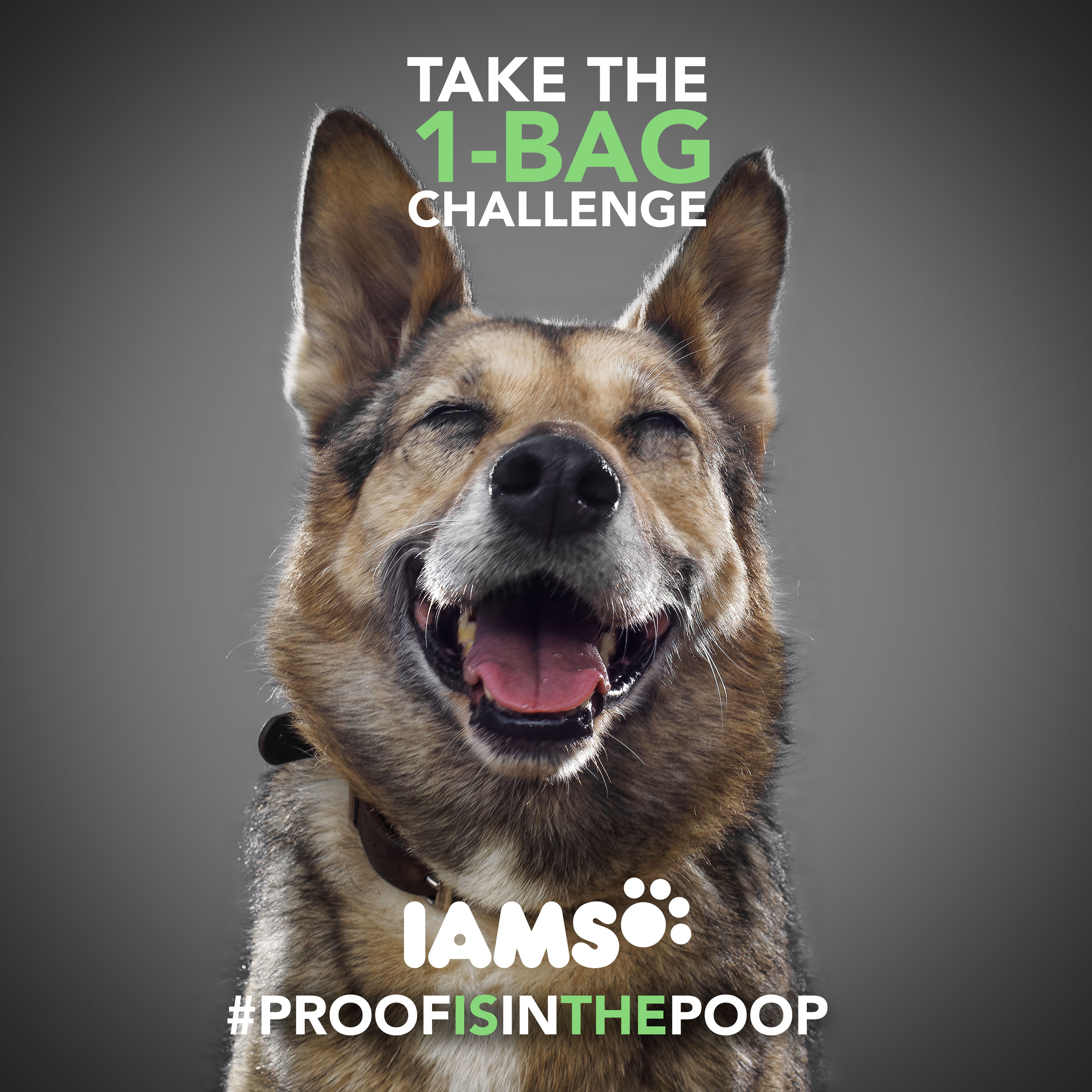 iams-proo-in-the-poop