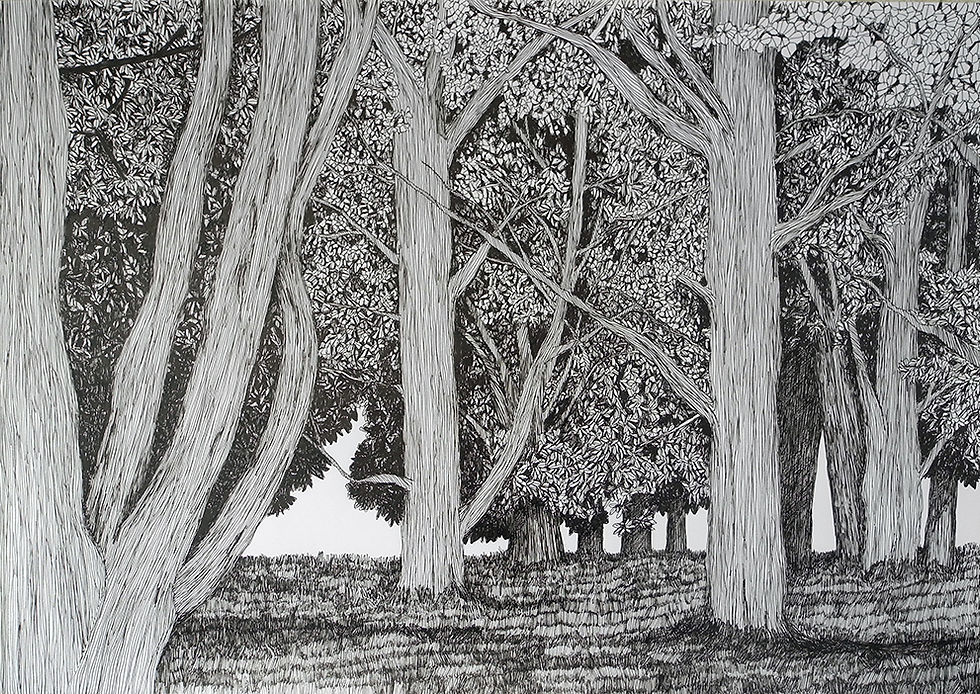 "La Forêt avance"