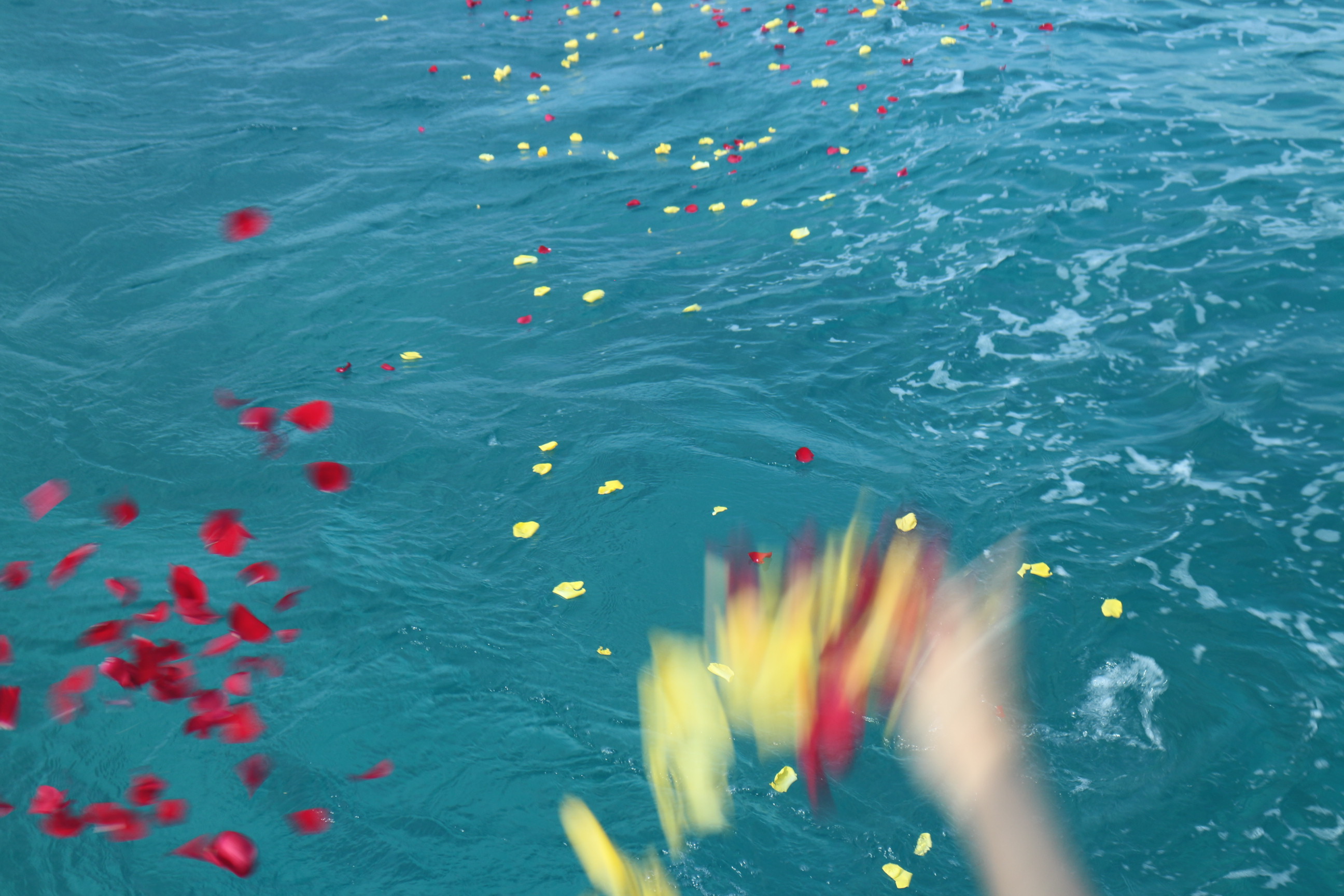 撒かれる花弁はハワイの海を満たす。