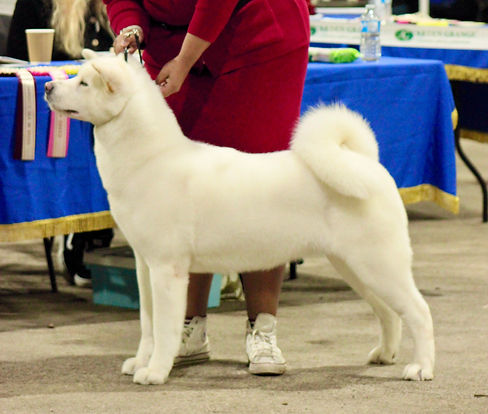 IMG_7234_edited.jpg