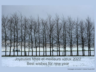 Meilleurs vœux 2022