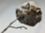 wasp nest