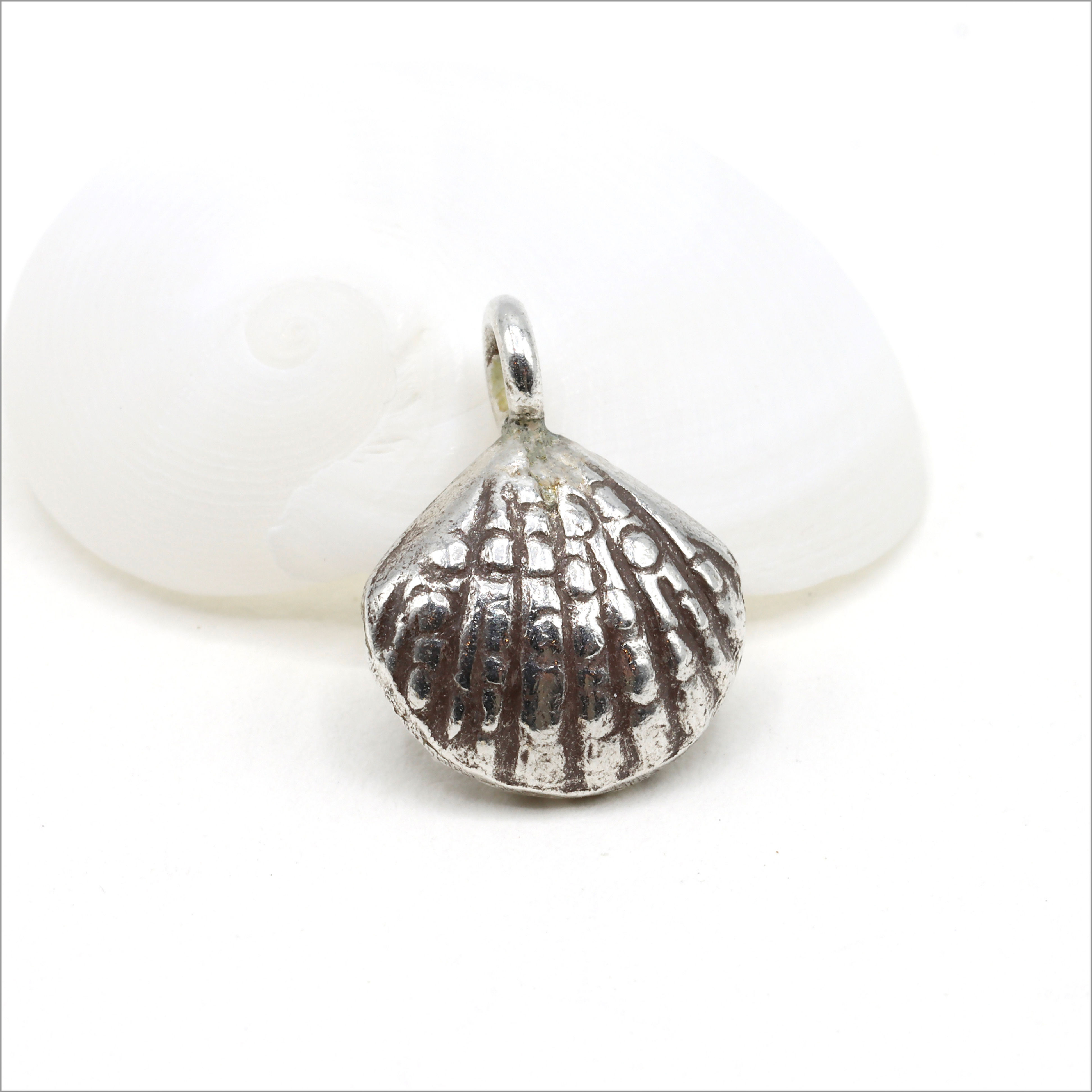 HP002 ~ Hill Tribe Silver Clam Shell Pendant ~ Package of 1