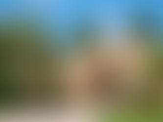 Къща с биофилен дизайн