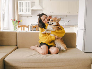 Assurance responsabilité civile pour chiens : protégez votre fidèle compagnon et votre foyer en toute sérénité